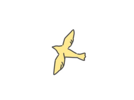 Pin