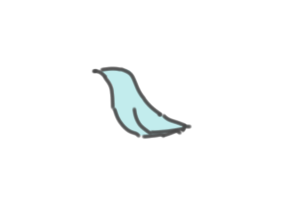 Pin
